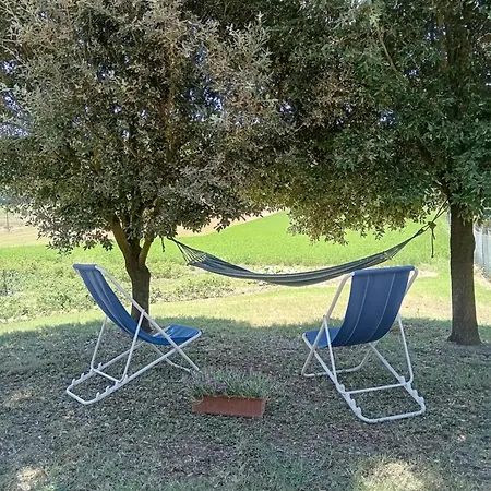 Podere Bellosguardo * Villamagna (Pisa)